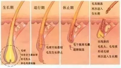 <a href='/suz/' target='_blank'><u>蘇州美萊</u></a>：反季脫毛優惠，你值得擁有！
