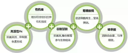 皮膚變黑？