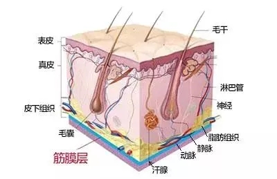 沒(méi)有誰(shuí)能永遠(yuǎn)年輕，不老都是保養(yǎng)的早！