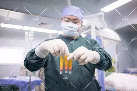 你討厭的脂肪，用在臉上就是寶貝！