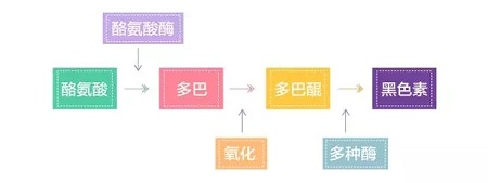 美萊實驗室：據統(tǒng)計90%的長斑都與夏天這一東西有關，你臉上的斑點是嗎？