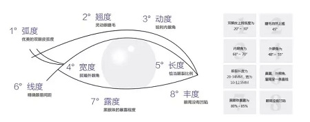 美眼張誠坐診美萊，淺談為什么你的眼睛不夠美？